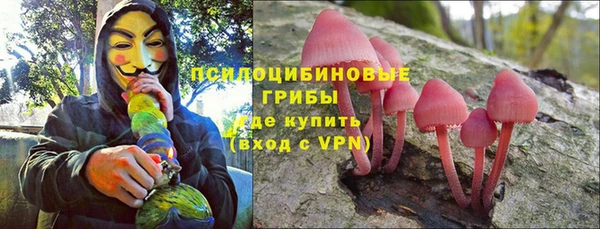 гидропоника Абаза